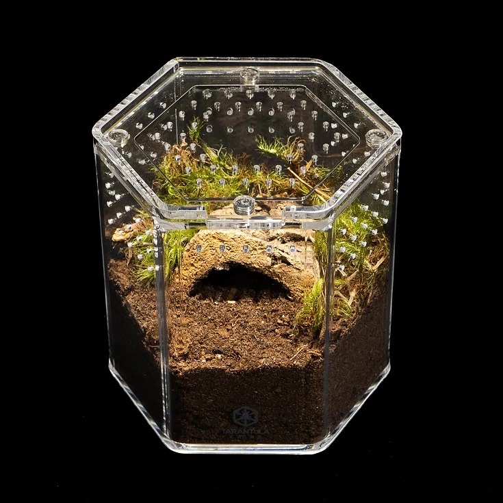 Tarantula Cribs - 5" Hex Crib 5"x 5"x 5"