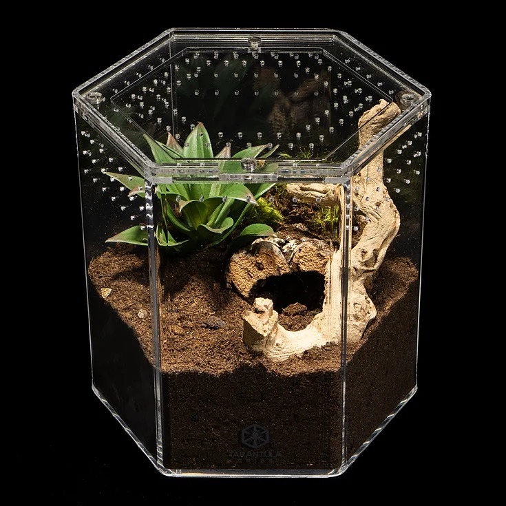 Tarantula Cribs - 8" Hex Crib 8"x 8"x 8"