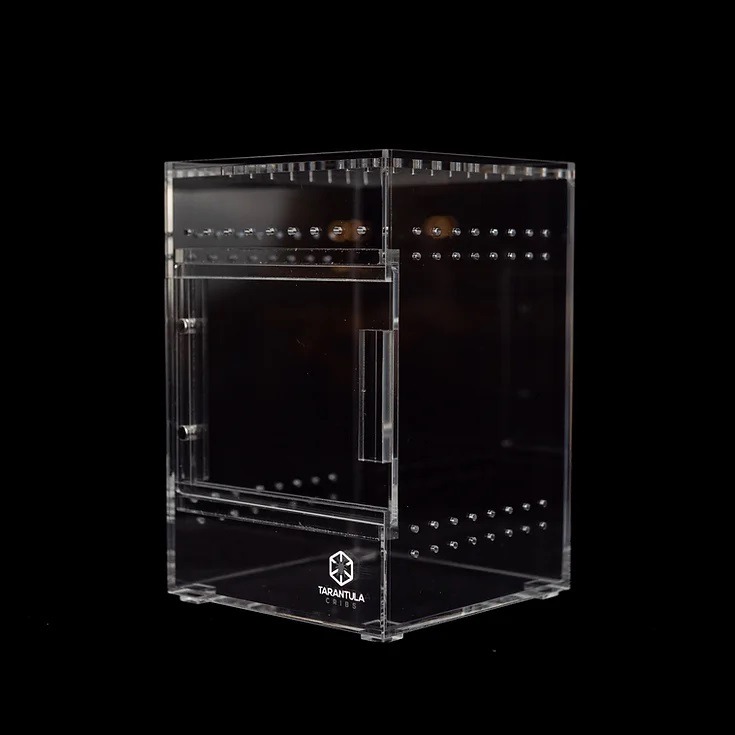 Tarantula Cribs - Small Treehouse Switch- Clear Back