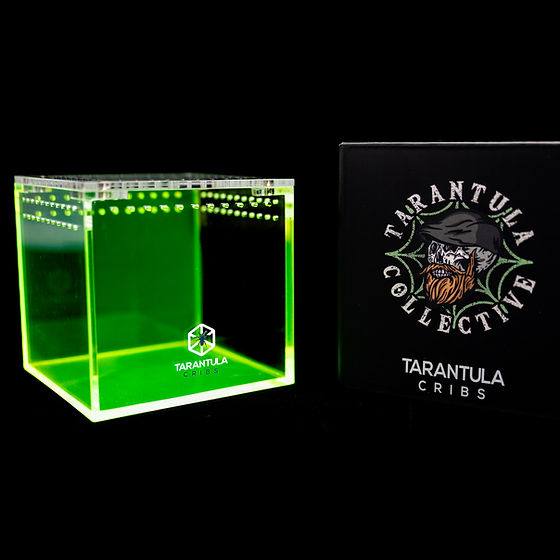Tarantula Cribs - 3"x3"x3" Cube Tarantula Collective Special