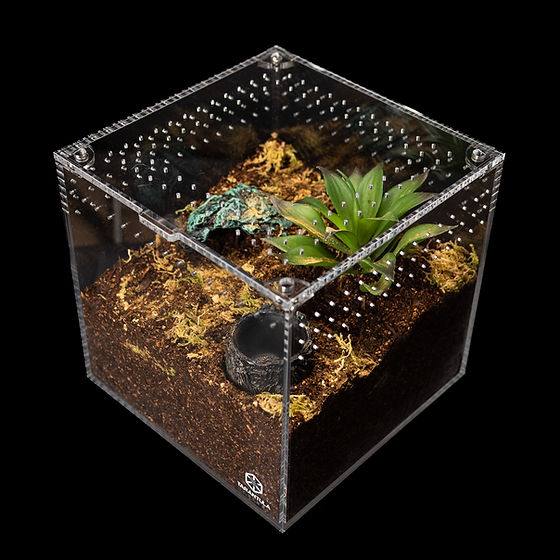 Tarantula Cribs - 3"x3"x3" Cube